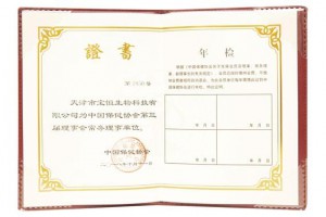 年检证书