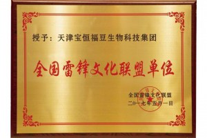 全国雷锋文化联盟单位