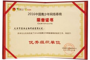 2016中国青少年网络春晚荣誉证书