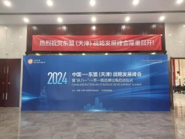 中国东盟（天津）战略发展峰会暨“庆八一”.一带一路品牌出海启动仪式在天津静海高新区宝恒集团国际会议中心成功举办