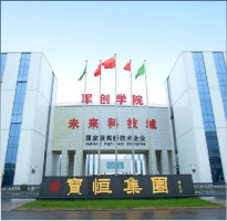 宝恒集团荣获湖北省营养学会第十届全民营养周积极贡献奖