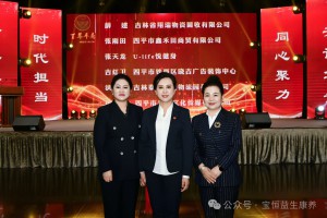 赓续百年商道，共绘时代蓝图|宝恒集团受邀参加平商联合会2026年年会