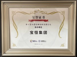 第十届中国品牌创新发展论坛协办单位